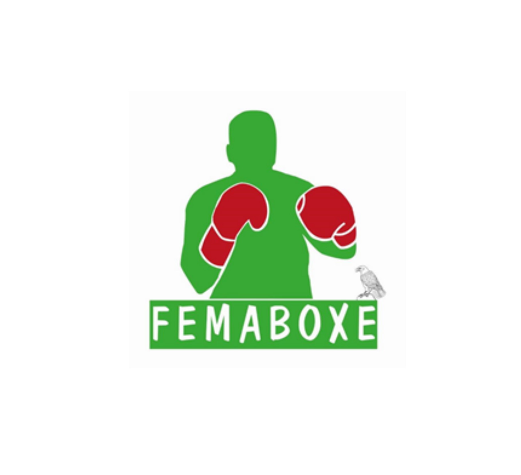 Fédération Malienne de Boxe